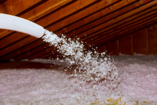 Best Geographic-Specific Insulation Services in Albion, PA