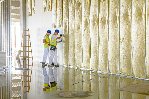 Best Insulation for Specific Applications in Albion, PA